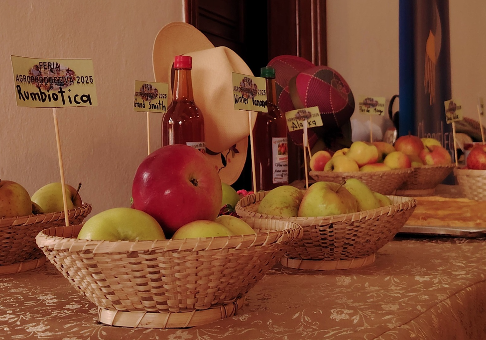 El Festival de la Manzana tendrá lugar este sábado 11 de abril de 2026 en la parroquia Principal, en el cantón Chordeleg. /Cortesía