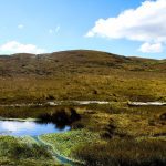 jornada - Kimsacocha