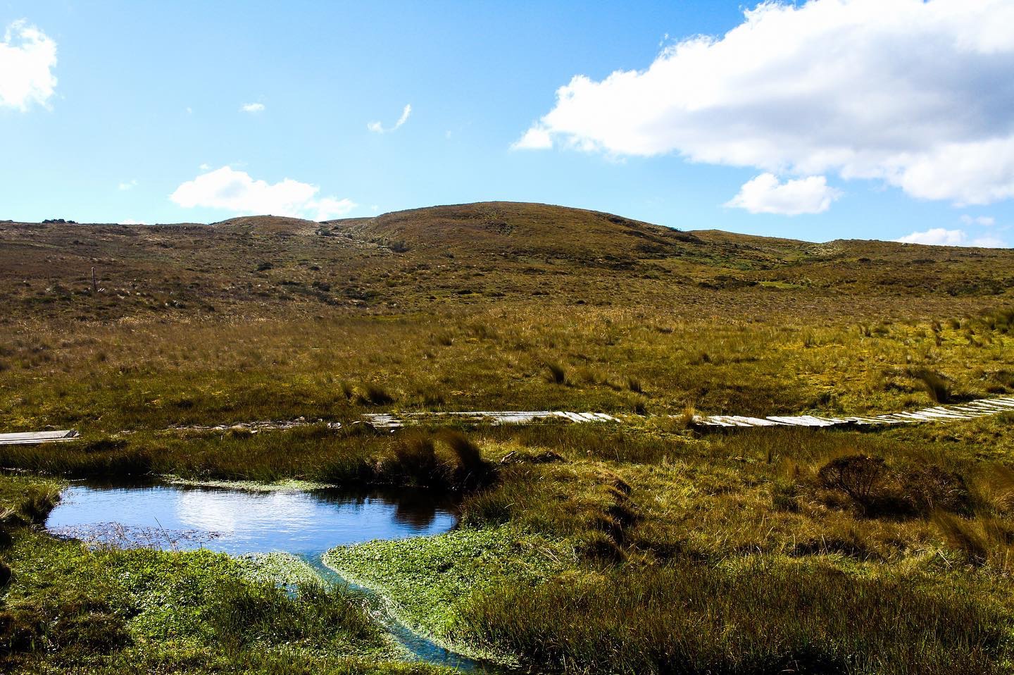 jornada - Kimsacocha