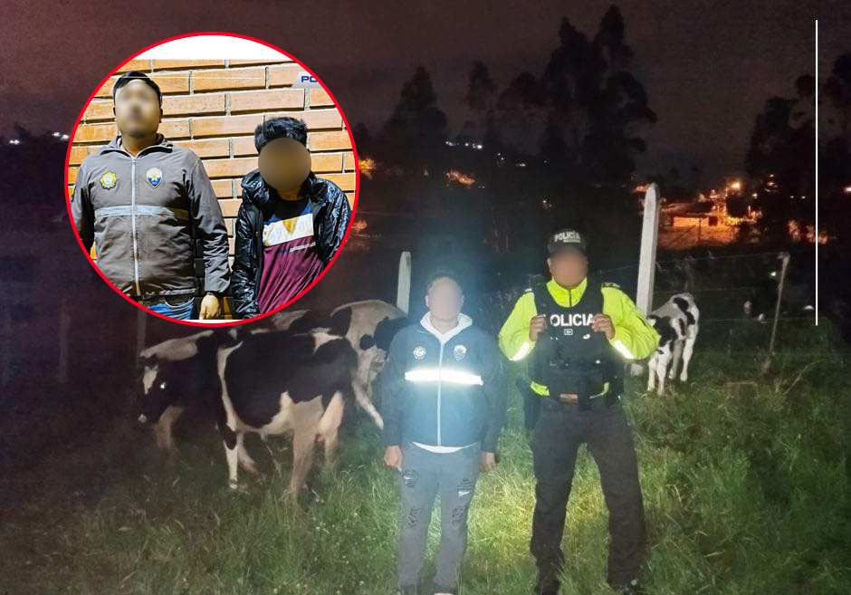 Wilmer P., fue aprehendido por el robo de ganado en Zhidcay, cantón Gualaceo. /Cortesía