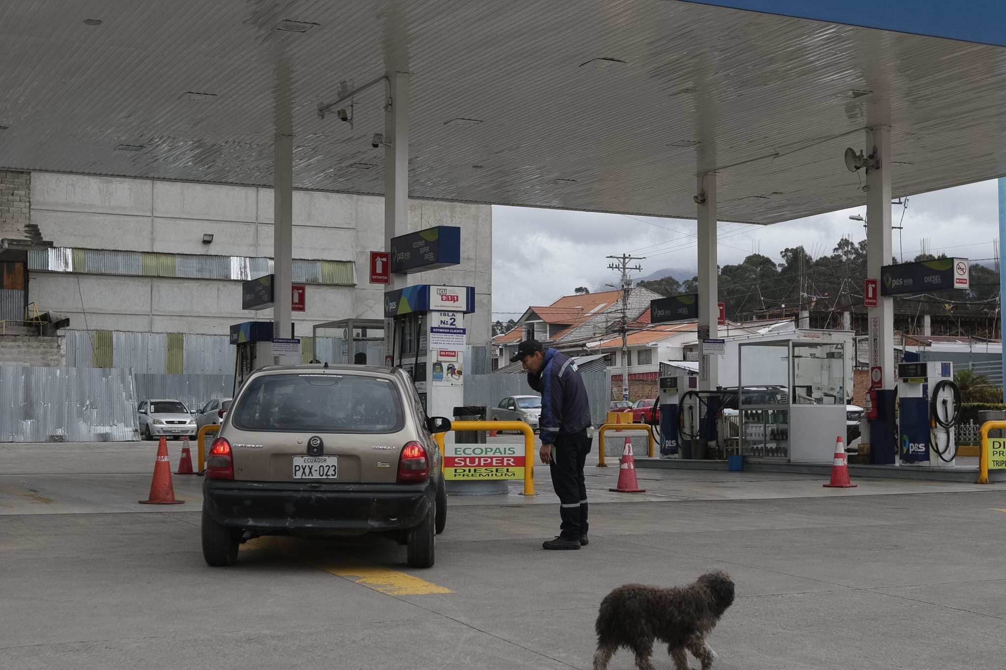 precio - combustibles