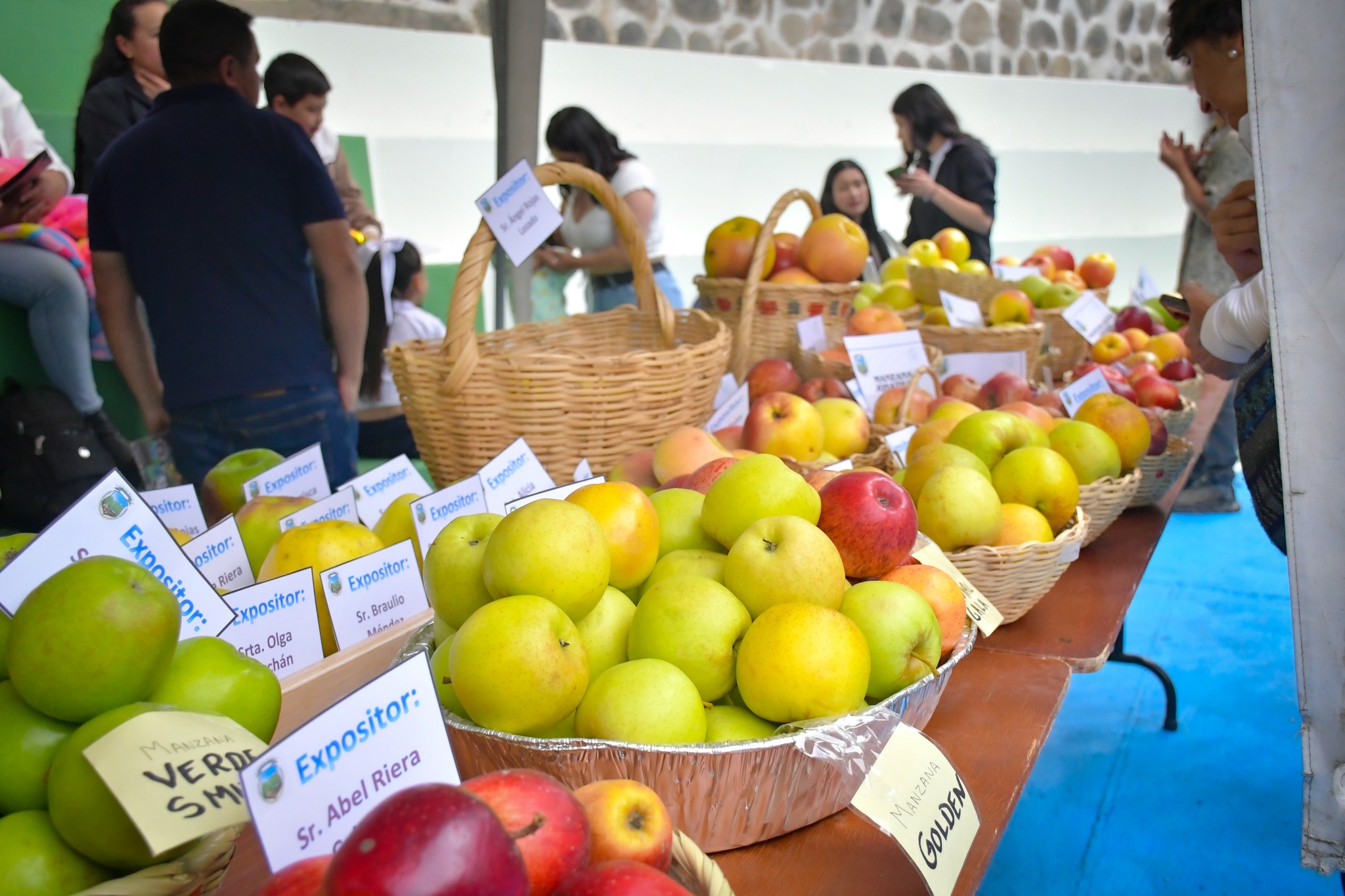 El festival de la manzana en Bulán, cantón Paute, llega a su octava edición este sábado 8 de mayo de 2026. /Cortesía