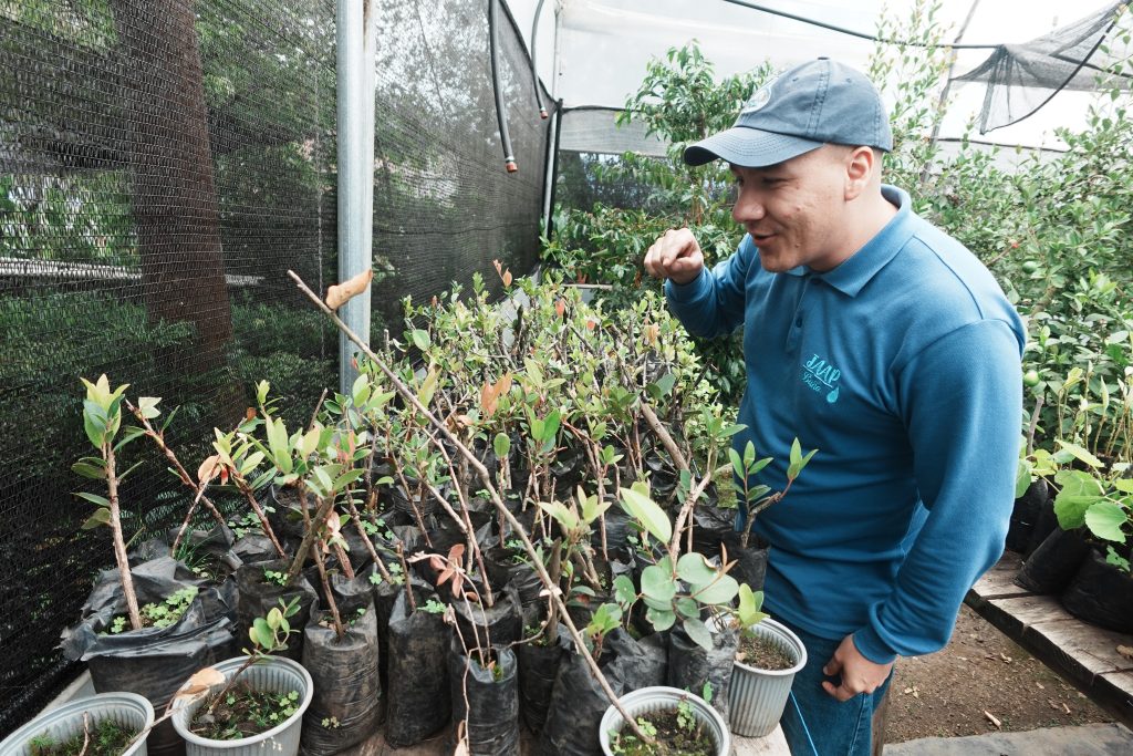 La Junta también maneja una propuesta de conservación de flora nativa de Baños. /FCS