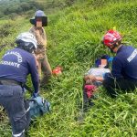 Hombre fue atacado por abejas en Girón. Fue llevado por paramédicos al Hospital Aída León de Rodríguez Lara.