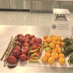 Can descubrió productos prohibidos de Ecuador en aeropuerto de Atlanta. Fueron decomisados y destruidos.