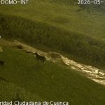 La noche de este 11 de mayo un menor de edad se lanzó a quebrada de El Salado para rescatar a su mascota en Cuenca.