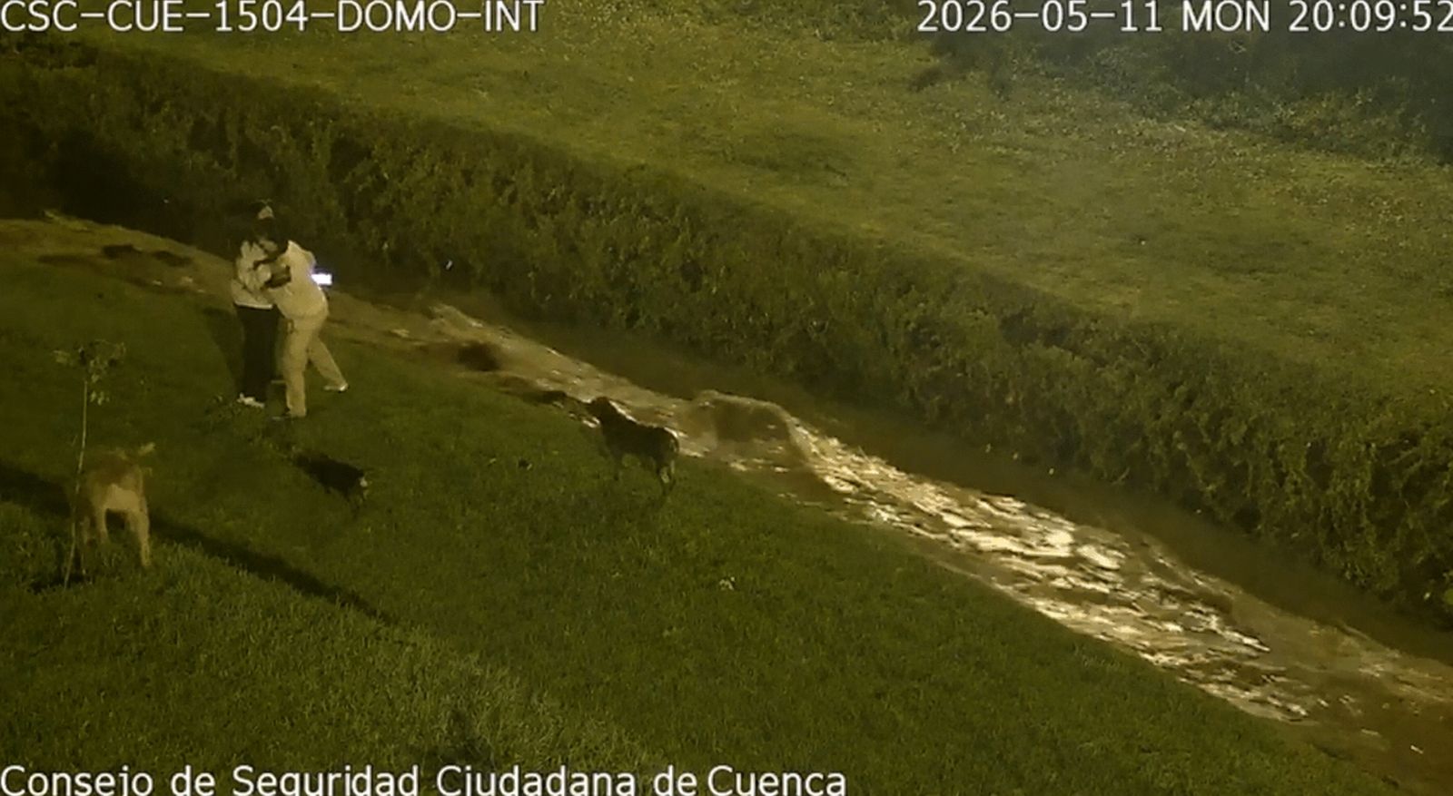 La noche de este 11 de mayo un menor de edad se lanzó a quebrada de El Salado para rescatar a su mascota en Cuenca.