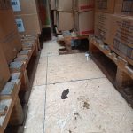 ARCSA clausuró local donde encontró heces de perro y de roedor, cucarachas y mariposas. La intervención se cumplió luego de una denuncia ciudadana difundida a través de un medio de comunicación.
