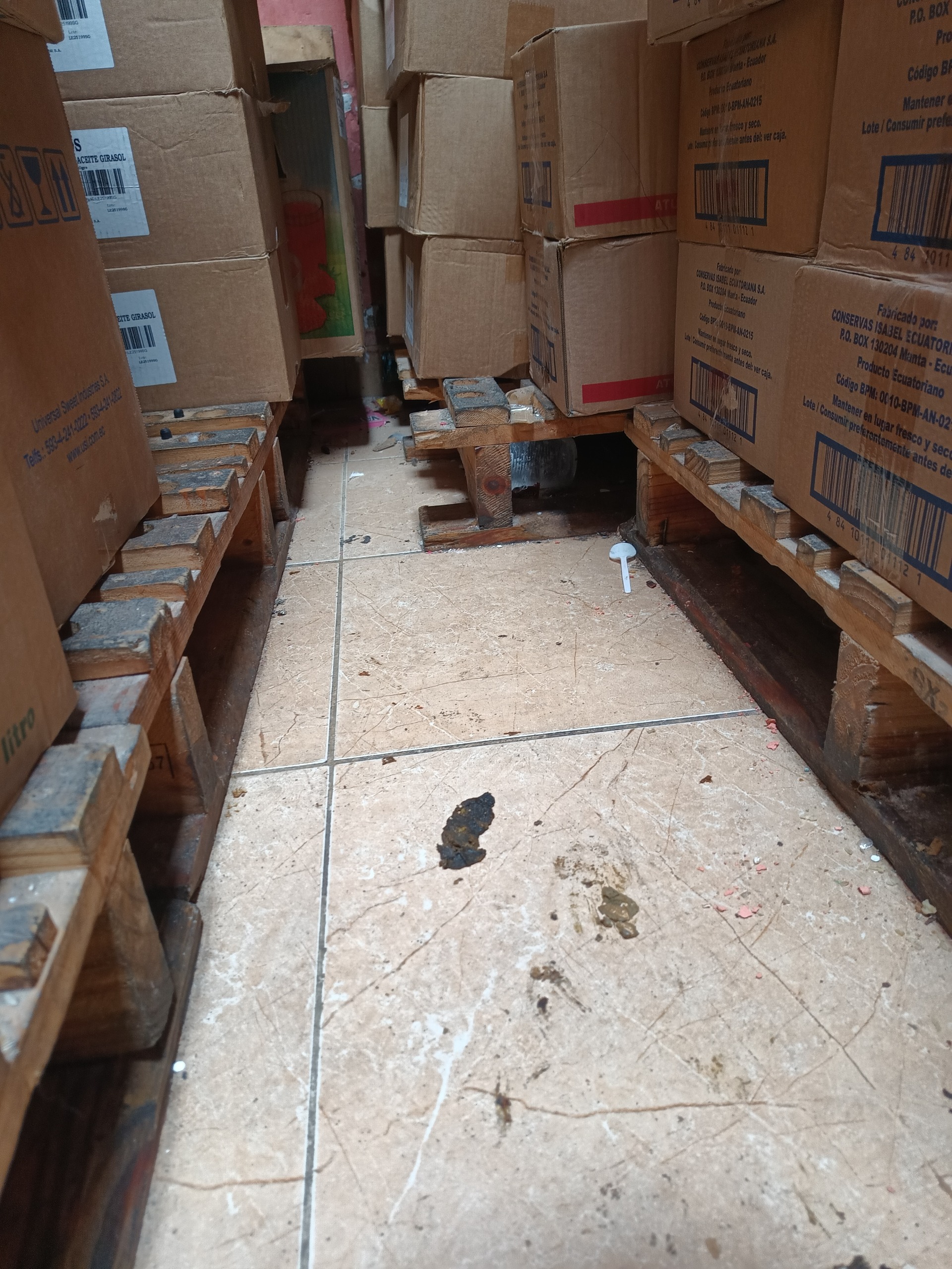 ARCSA clausuró local donde encontró heces de perro y de roedor, cucarachas y mariposas. La intervención se cumplió luego de una denuncia ciudadana difundida a través de un medio de comunicación.