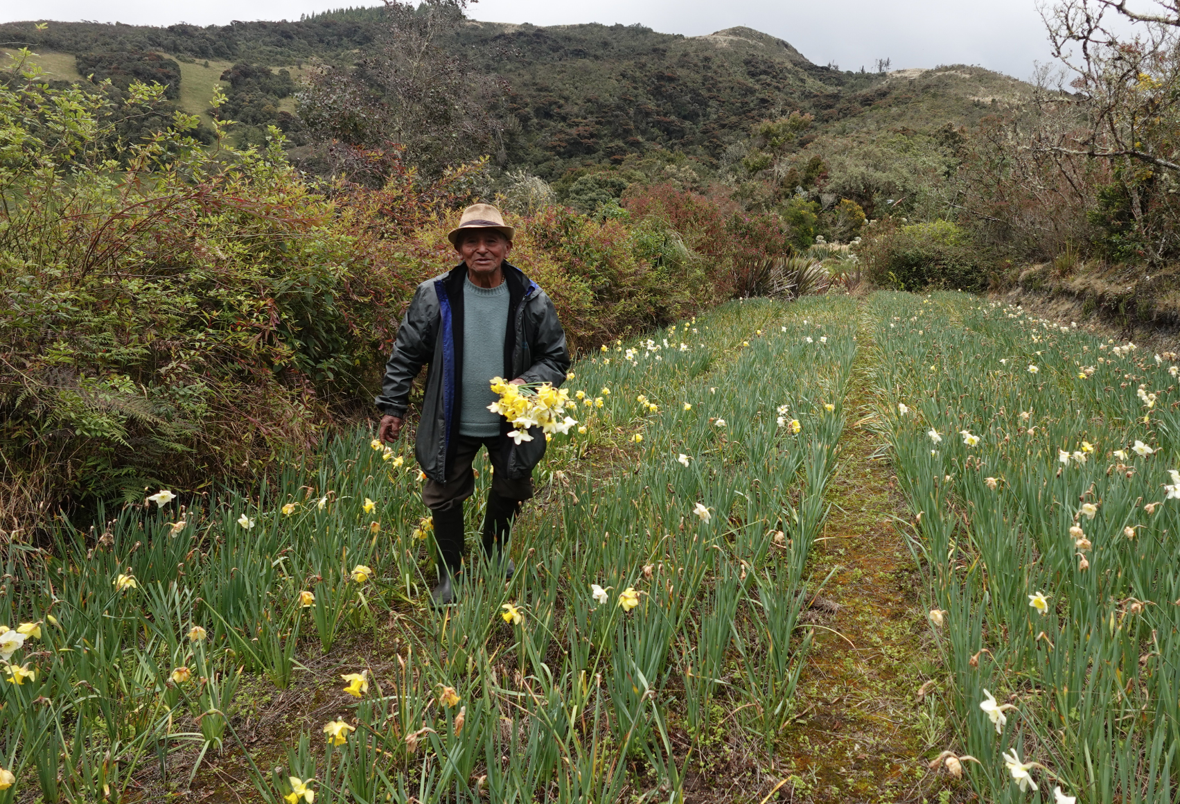 Alejandro María Guamán, el hombre que creó un jardín de 3 hectáreas con sus propias manos en Jima, recibirá la presea ‘Quinto Río’. /Cortesía