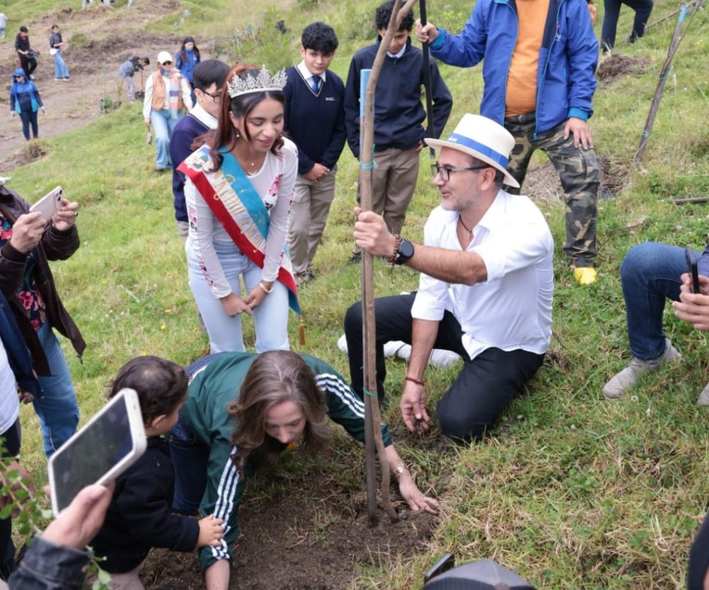 Gobierno - árboles