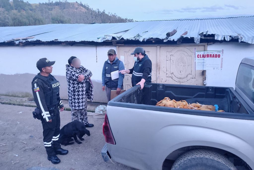 Personal de Agrocalidad clausuró un centro de faenamiento en el cantón Gualaceo. /Cortesía