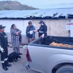 Personal de Agrocalidad clausuró un centro de faenamiento en el cantón Gualaceo. /Cortesía