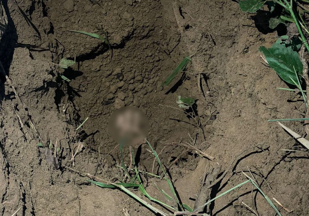 El personal militar hizo el hallazgo de fosas clandestinas con cuerpo enterrados, según información de las Fuerzas Armadas. /Cortesía
