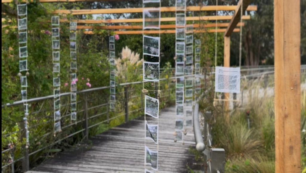 Las obras se exhiben en el Jardín Botánico de Cuenca de lunes a domingo hasta el 4 de agosto de 2026. /Cortesía