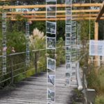 Las obras se exhiben en el Jardín Botánico de Cuenca de lunes a domingo hasta el 4 de agosto de 2026. /Cortesía