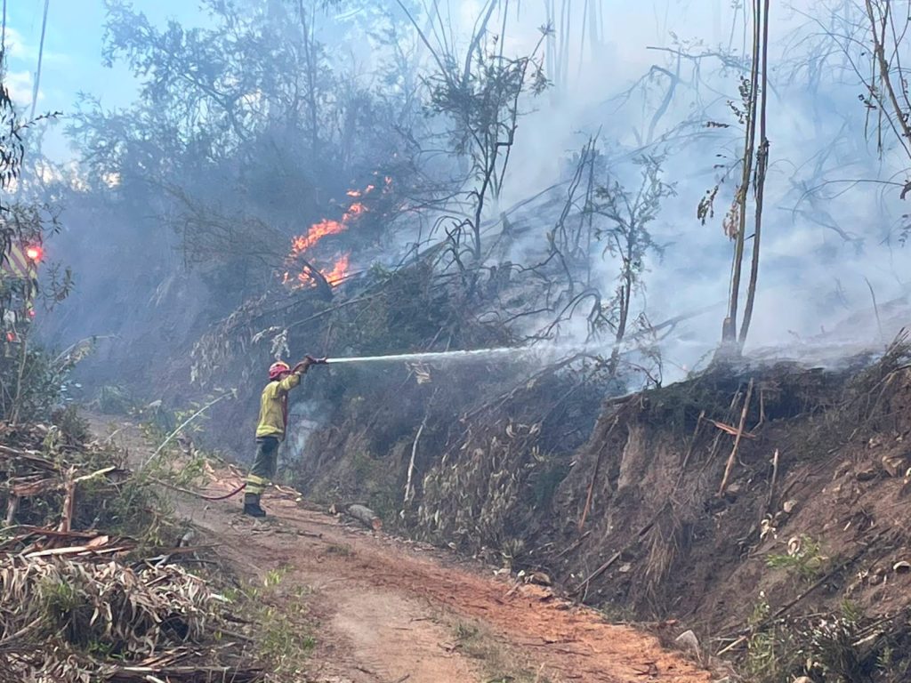 incendios - forestales