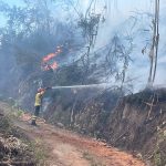 incendios - forestales