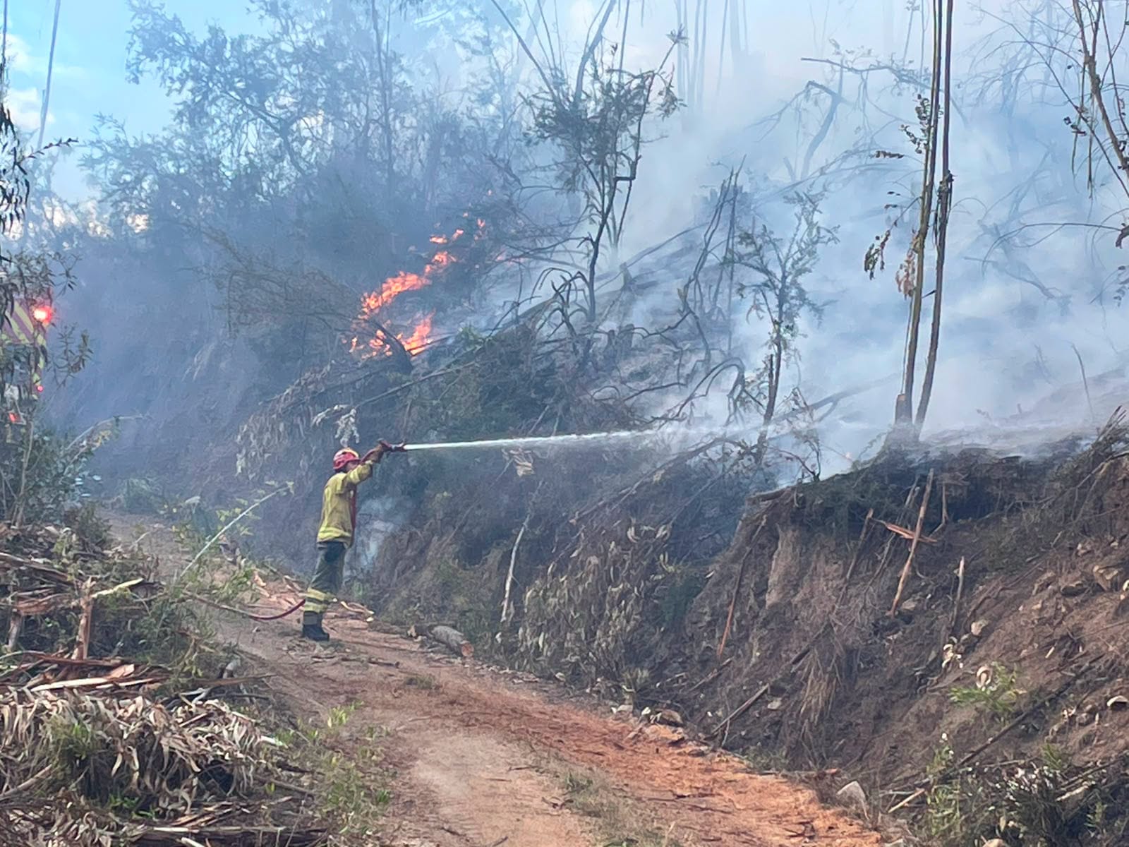 incendios - forestales