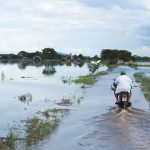 Se prevé que el fenómeno de El Niño deje estragos en Ecuador. Foto: API