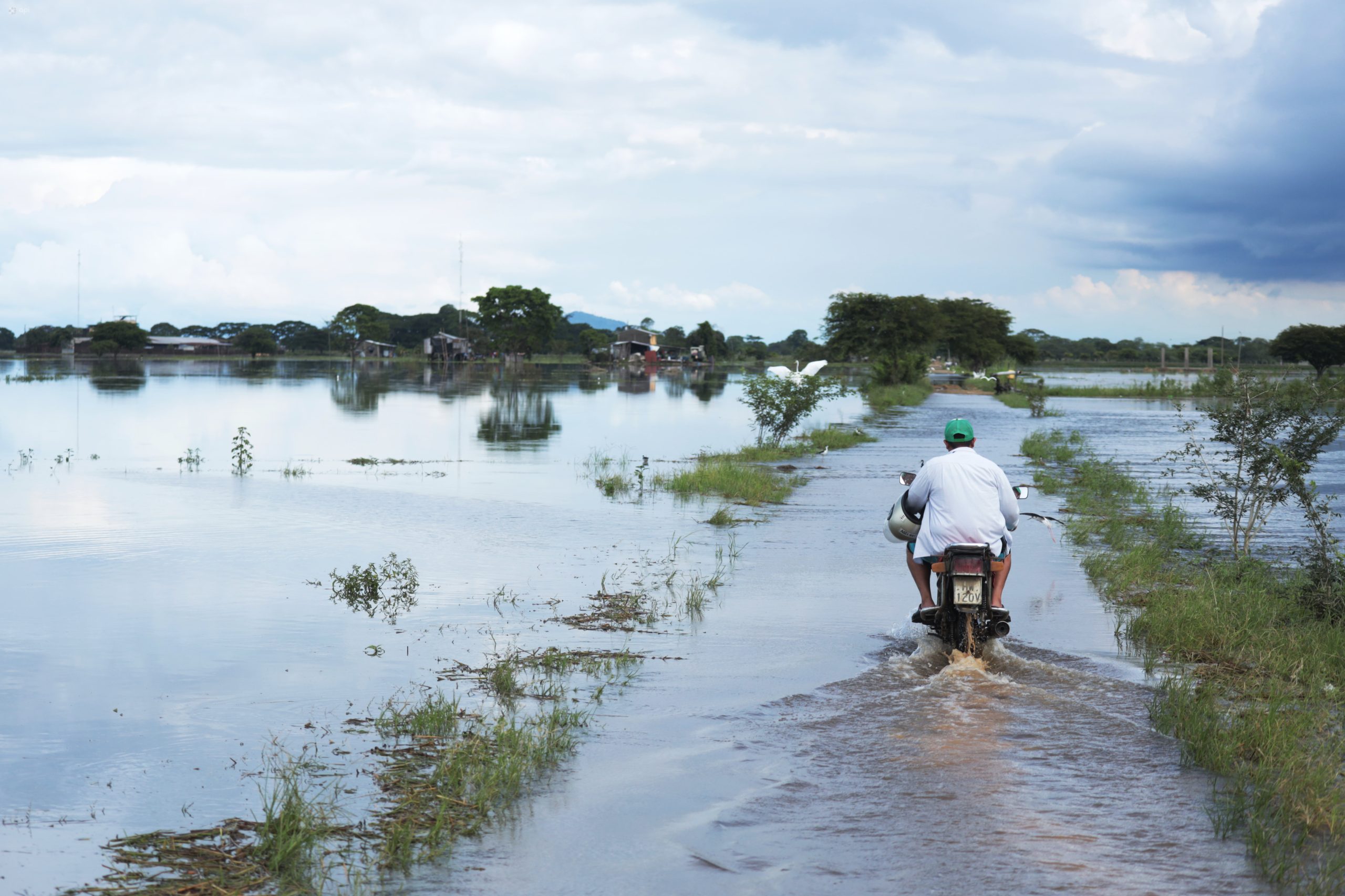 Se prevé que el fenómeno de El Niño deje estragos en Ecuador. Foto: API