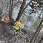 Solo el martes 21 de julio de 2026, el personal del Cuerpo de Bomberos de Cuenca atendió al menos cinco incendios forestales en la ciudad. /Cortesía