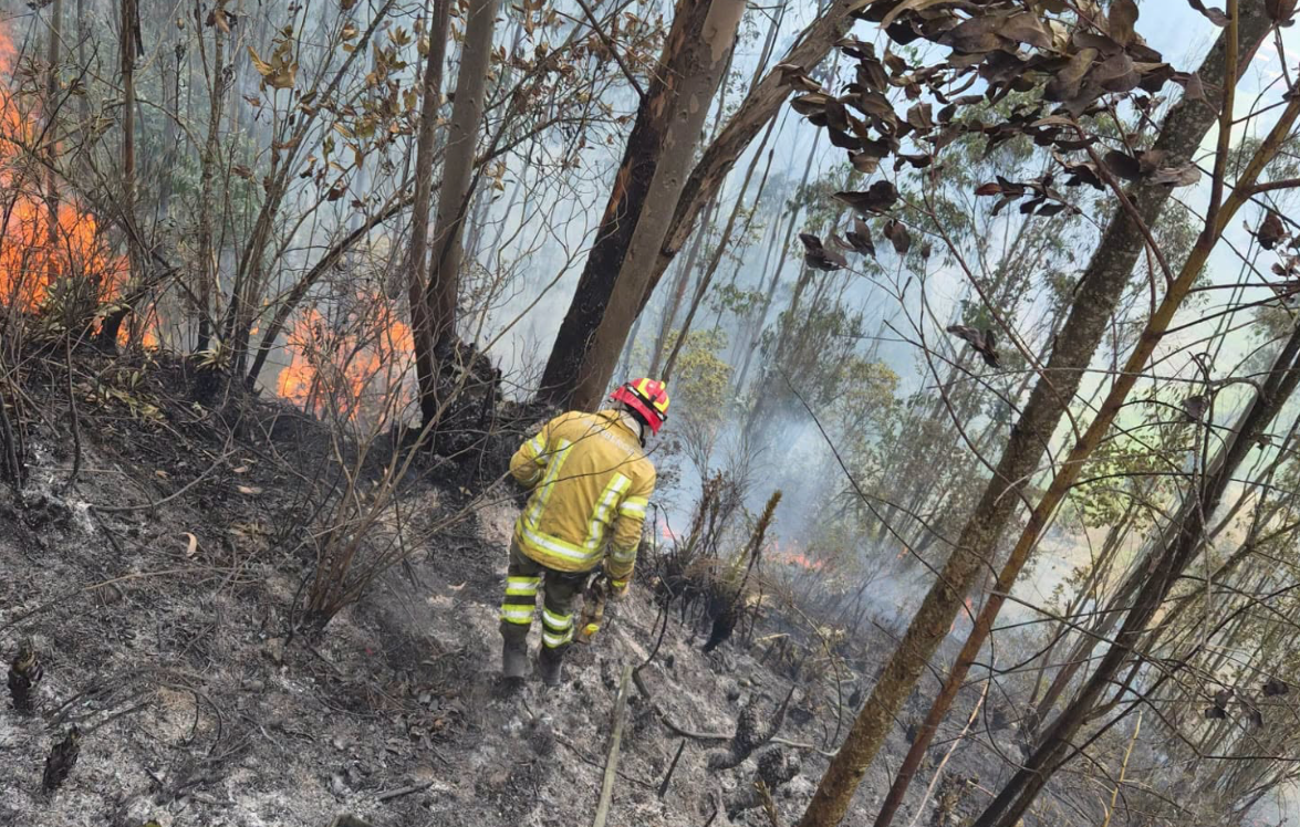 Solo el martes 21 de julio de 2026, el personal del Cuerpo de Bomberos de Cuenca atendió al menos cinco incendios forestales en la ciudad. /Cortesía