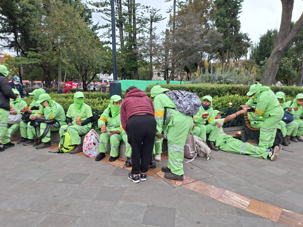 Cuenca - hormiguitas