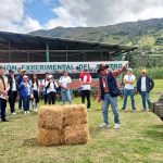 semana - innovacion