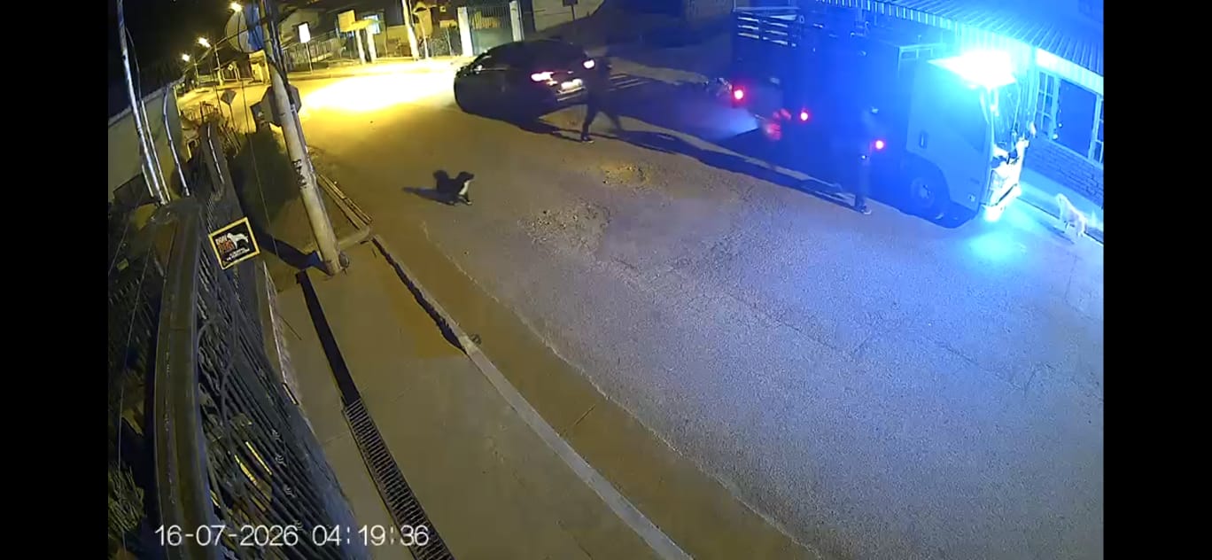 Presuntos delincuentes en Punta Corral.