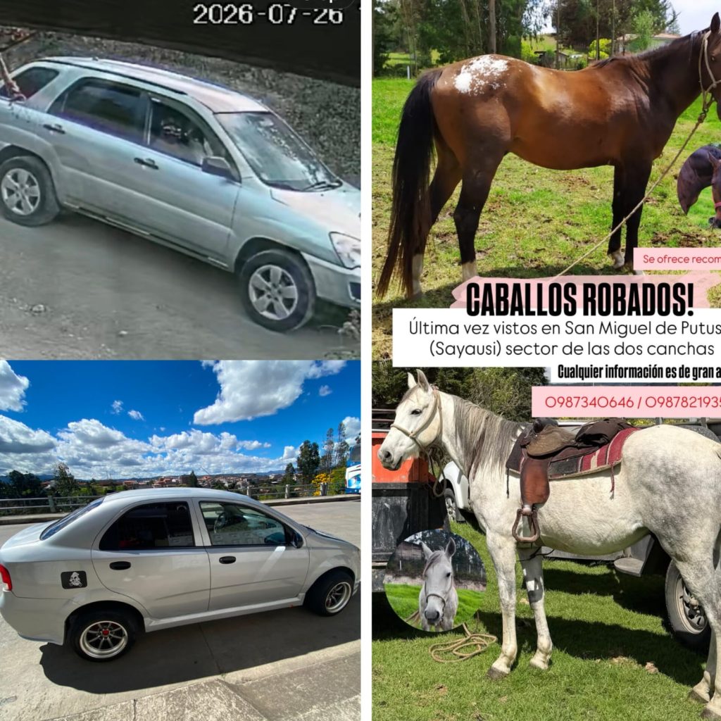 Carros y animales fueron robados en Cuenca