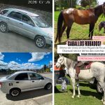 Carros y animales fueron robados en Cuenca