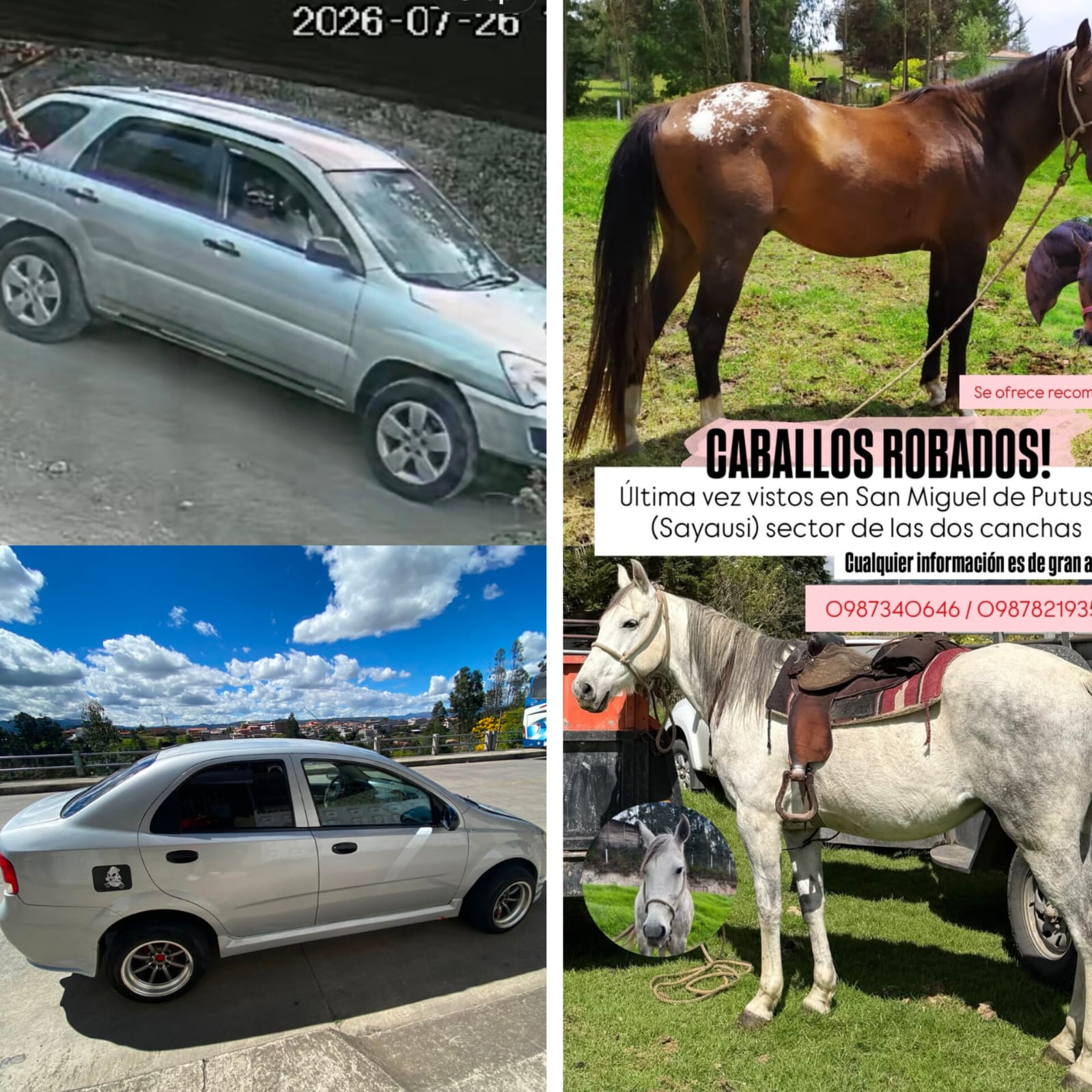 Carros y animales fueron robados en Cuenca