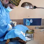 La CGA prevé al menos 9 campañas gratuitas de esterilización en parroquias rurales de Cuenca para agosto de 2026. /Cortesía