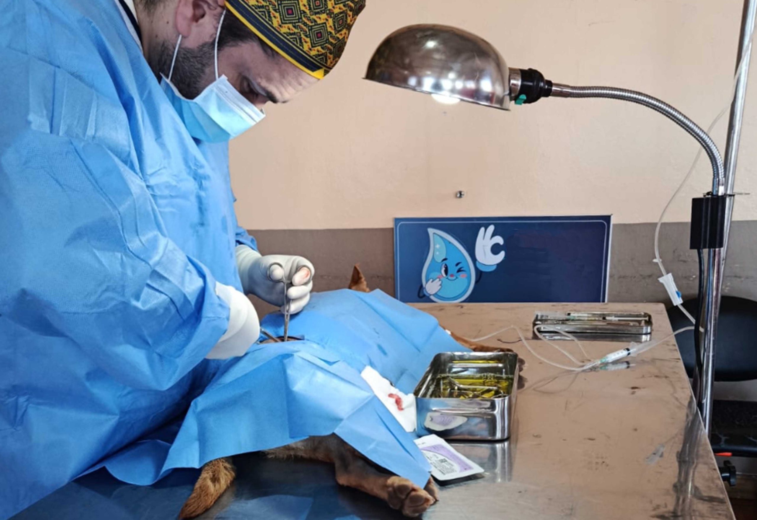 La CGA prevé al menos 9 campañas gratuitas de esterilización en parroquias rurales de Cuenca para agosto de 2026. /Cortesía