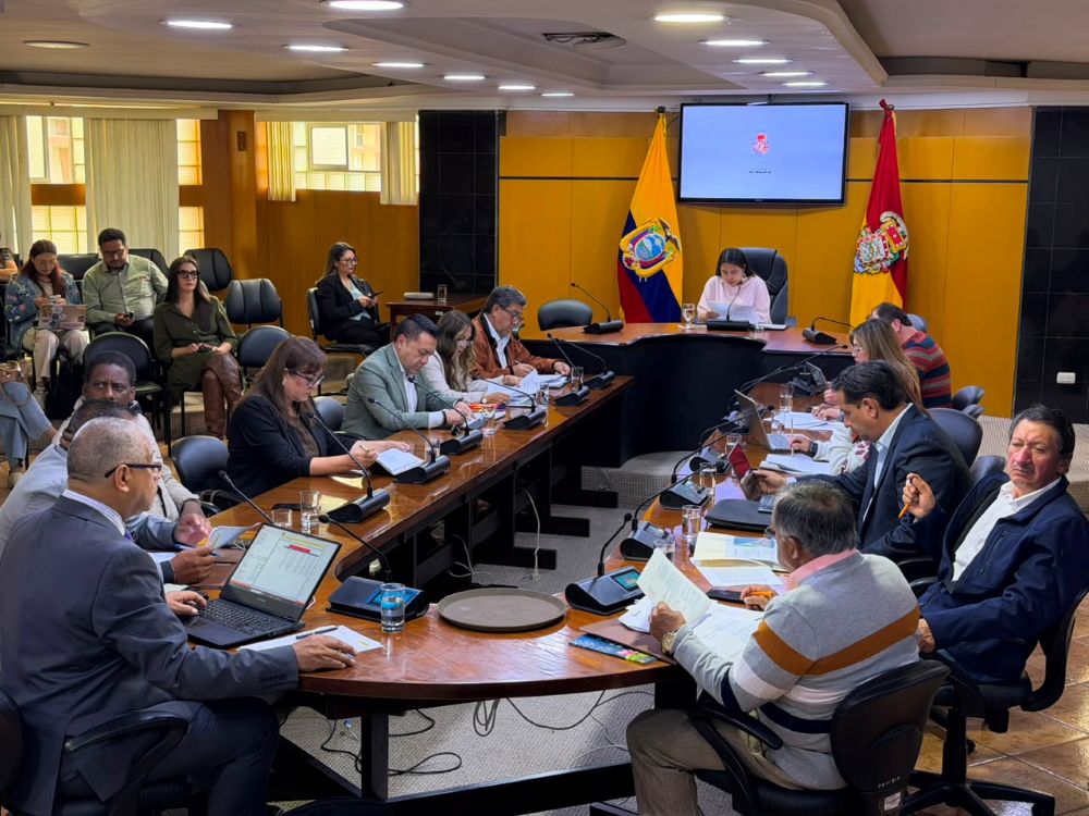 Actualmente el Concejo Cantonal de Cuenca está integrado por 10 concejales urbanos y uno rural.