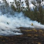 Personal del Cuerpo de Bomberos de Cuenca combatió un grave incendio forestal en Francés Urco, parroquia Tarqui. /Cortesía