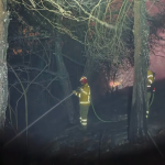 Un incendio forestal consumió más de tres hectáreas de bosque de pino en Tutupali. /Cortesía