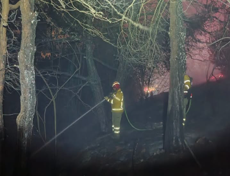 Un incendio forestal consumió más de tres hectáreas de bosque de pino en Tutupali. /Cortesía