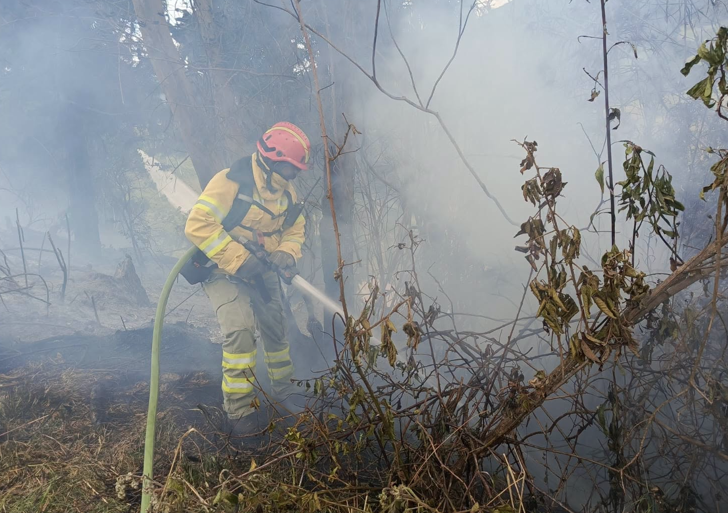Personal del Cuerpo de Bomberos de Cuenca enfrentaron al menos tres incendios forestales, el viernes, 14 de agosto de 2026. /Cortesía