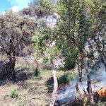 Al menos 15 incendios forestales se han presentado en Cuenca durante el feriado por el 10 de Agosto. /Cortesía