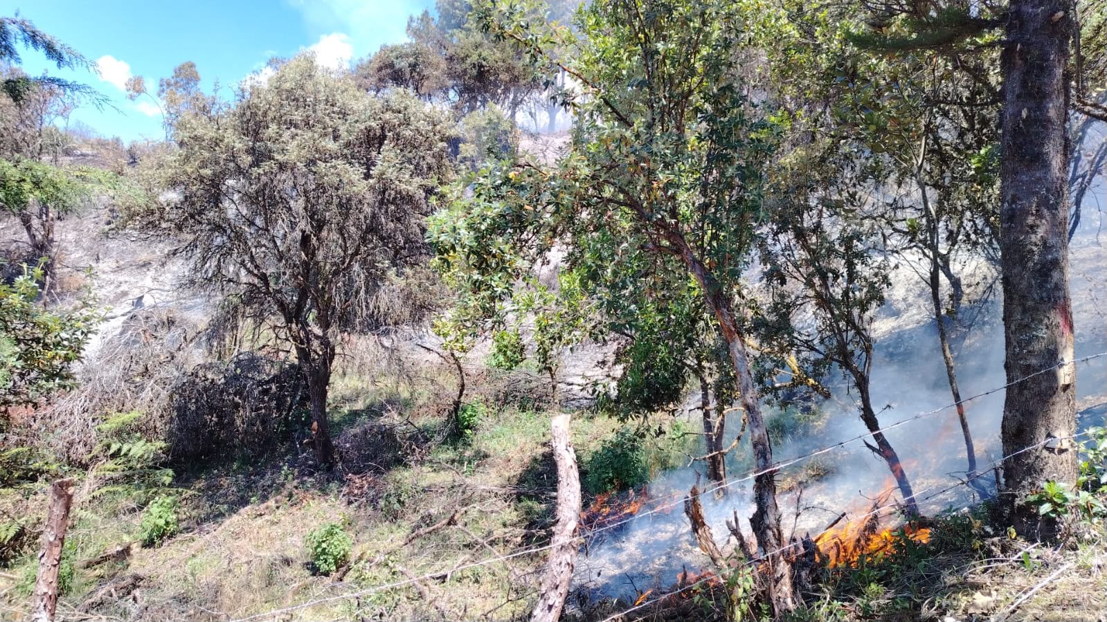 Al menos 15 incendios forestales se han presentado en Cuenca durante el feriado por el 10 de Agosto. /Cortesía