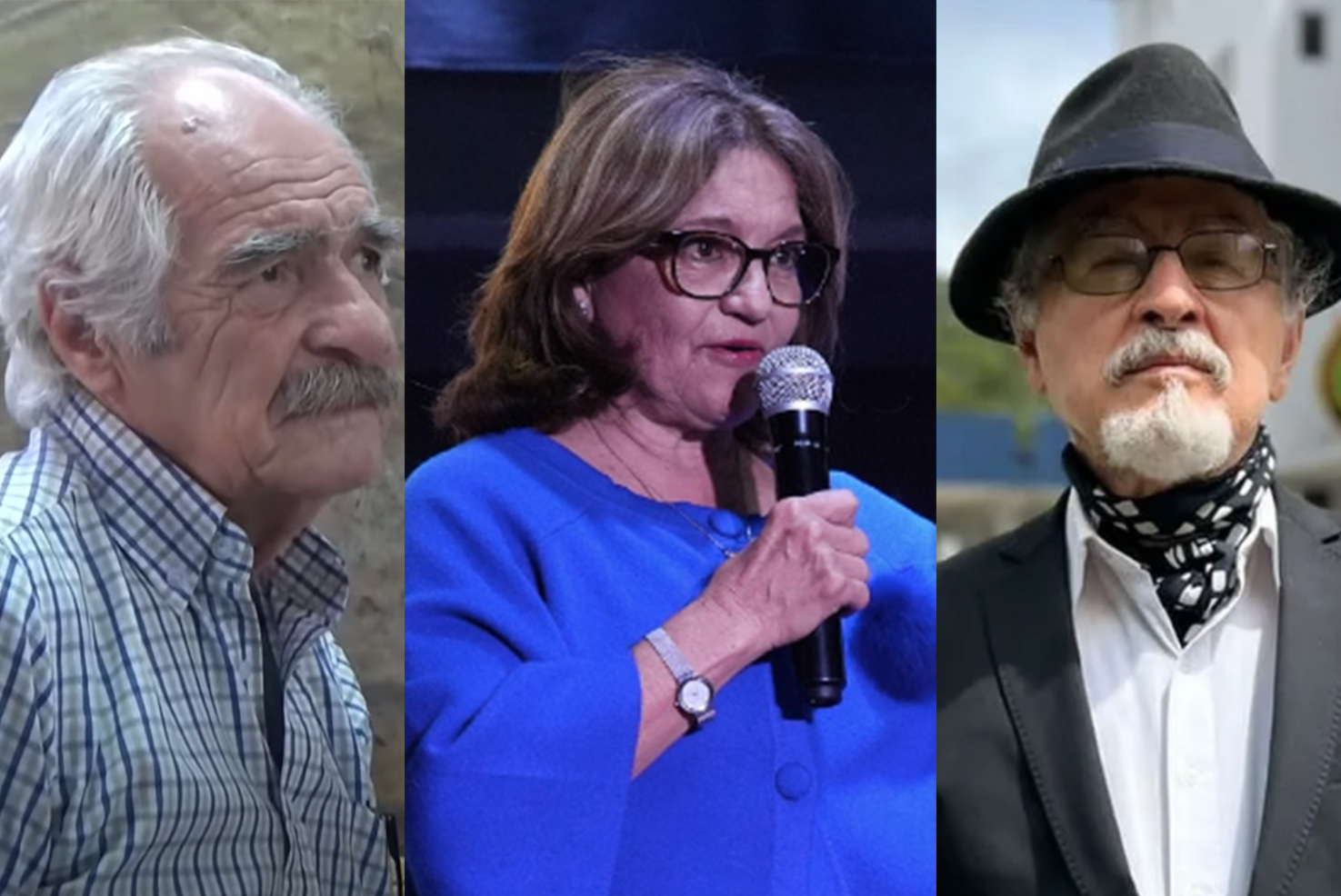 Paúl Amadeus Palacio, Carla Tamara Estupiñán y Carlos Alfonso Carrión ganaron el Premio Nacional Eugenio Espejo. /Cortesía