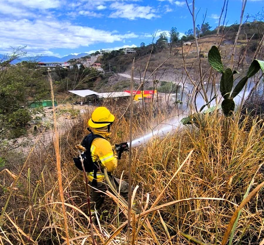 Bomberos Santa Isabel sofocan un incendio forestal.