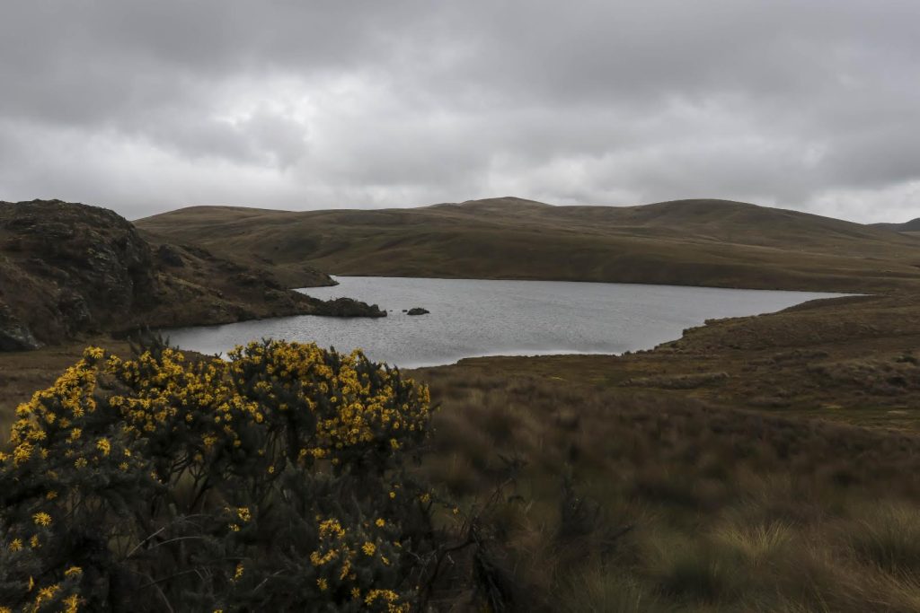 Una de las ‘tres lagunas’ que conforman Quimsacocha, al que se llega luego de caminar unos 2,5 kilómetros.