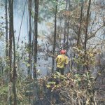 Los incendios forestales afectaron más de 1.500 hectáreas de vegetación en Azuay. En la parroquia Turi, los bomberos enfrentaron una grave incendio en el sector de San Pedro. /EL MERCURIO