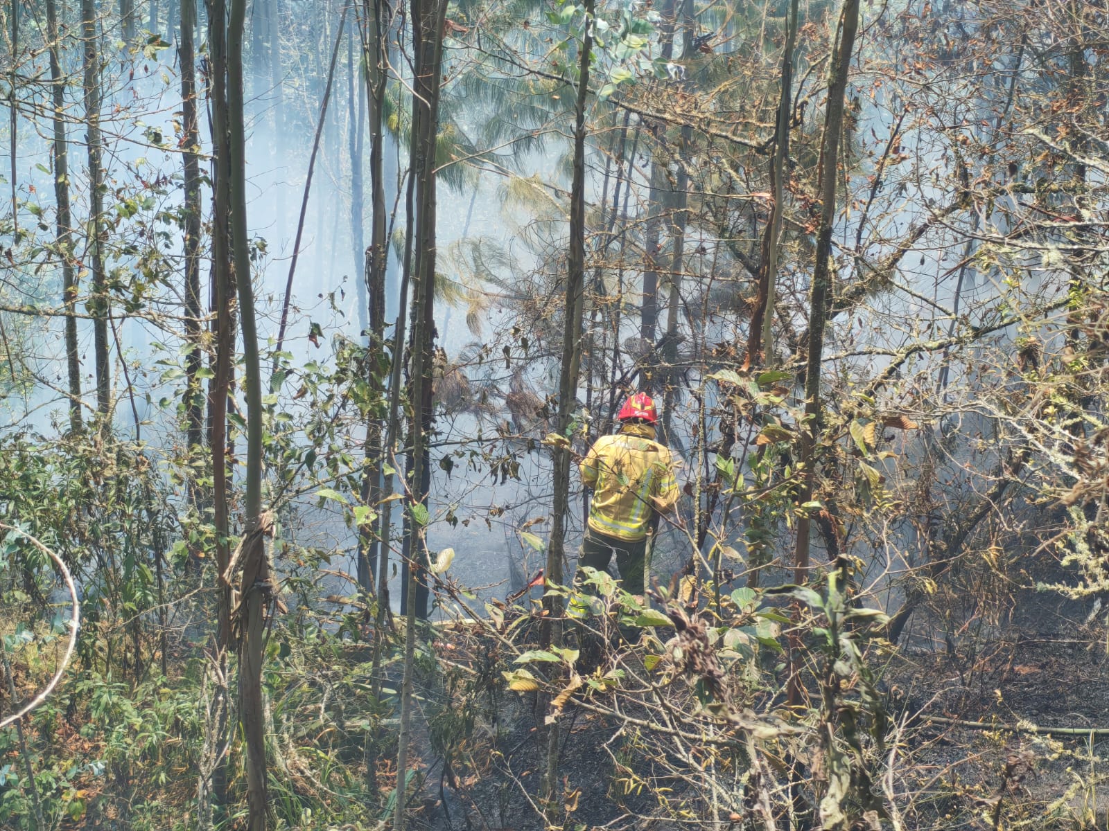Los incendios forestales afectaron más de 1.500 hectáreas de vegetación en Azuay. En la parroquia Turi, los bomberos enfrentaron una grave incendio en el sector de San Pedro. /EL MERCURIO