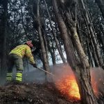 Más de 300 hectáreas se han visto afectadas por incendios forestales en Azuay en lo que ve de 2026. /Cortesía