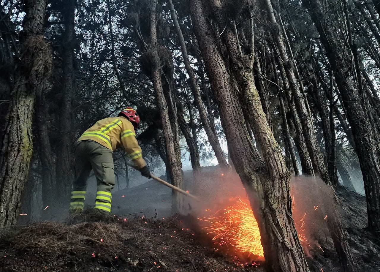 Un total de 14 incendios forestales se presentaron en distintos puntos de Cuenca el domingo 6 de septiembre de 2026. /Cortesía