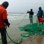 Los pescadores están sintiendo las consecuencias del Fenómeno de El Niño. Foto: AFP
